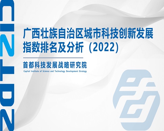 艹女生网站【成果发布】广西壮族自治区城市科技创新发展指数排名及分析（2022）